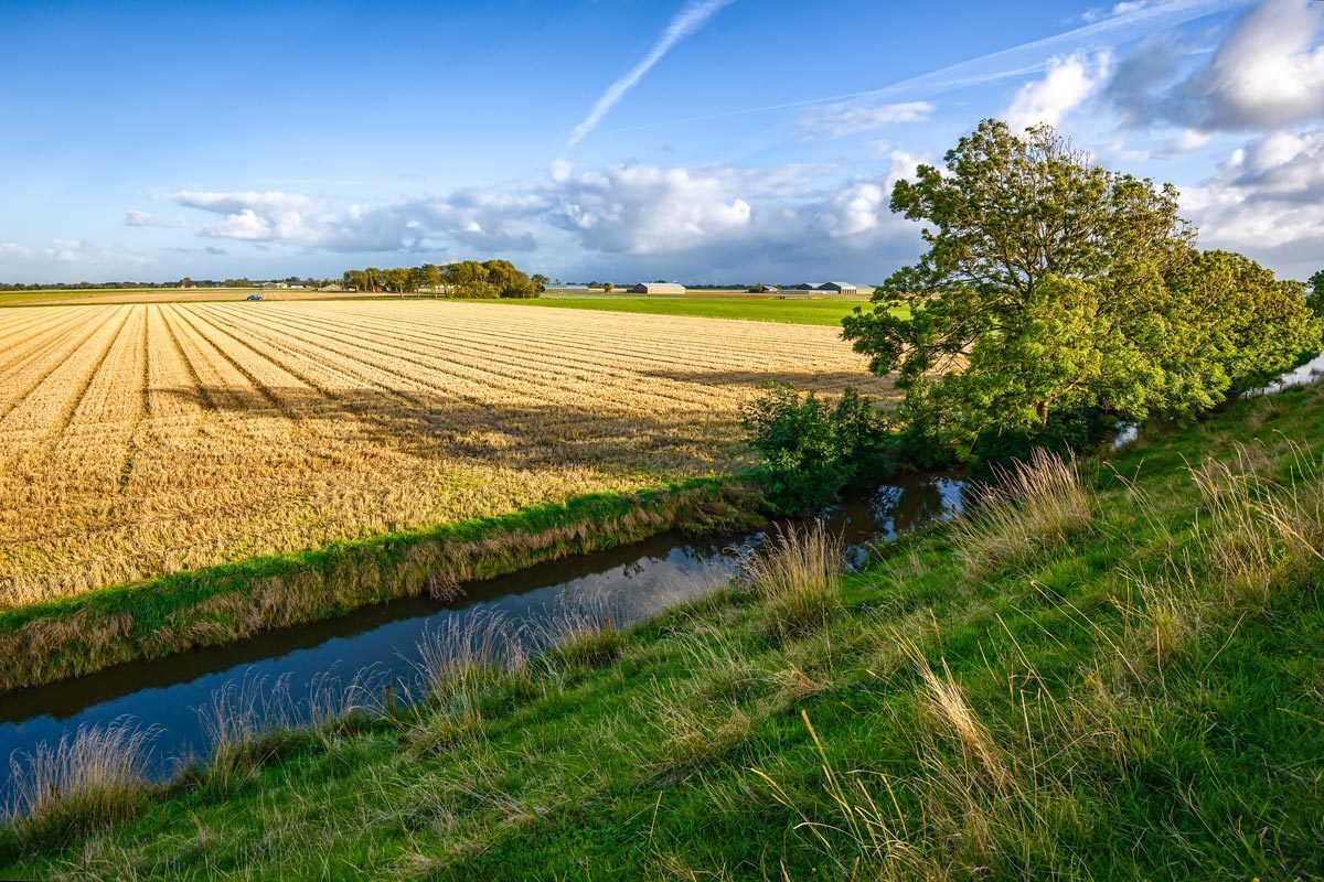 Água para Uso Rural: O Que é Cadastro de Uso Insignificante e Como Solicitar